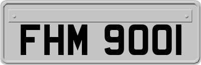 FHM9001