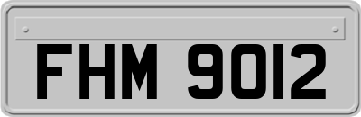 FHM9012