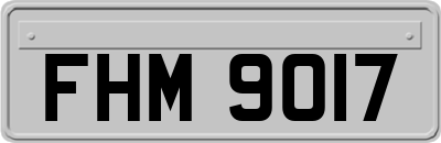 FHM9017