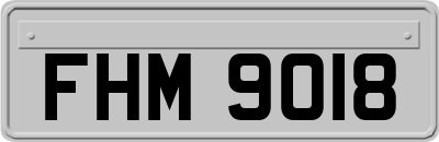 FHM9018