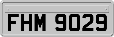 FHM9029