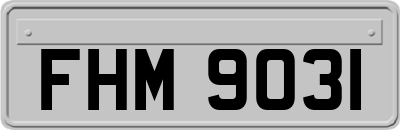 FHM9031