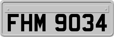 FHM9034