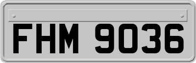 FHM9036