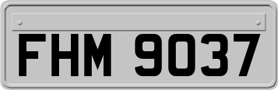 FHM9037
