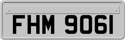 FHM9061