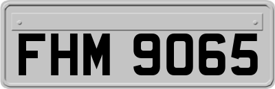 FHM9065