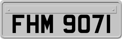 FHM9071