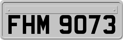 FHM9073