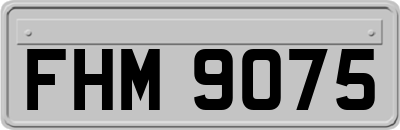 FHM9075