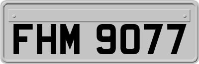 FHM9077