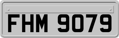FHM9079