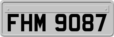 FHM9087