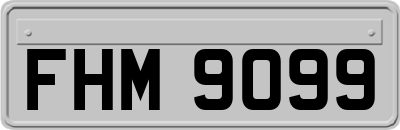 FHM9099