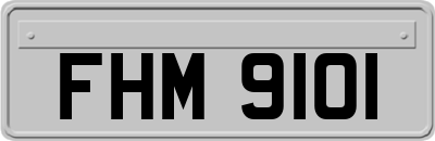 FHM9101