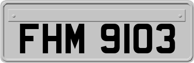 FHM9103