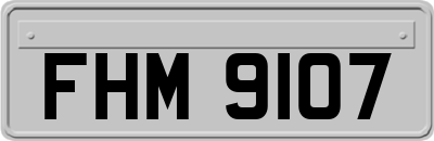 FHM9107