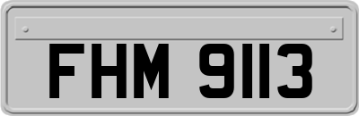 FHM9113