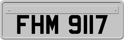 FHM9117