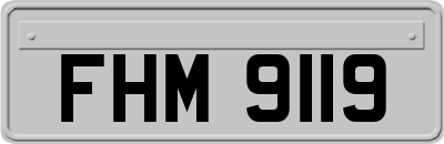 FHM9119