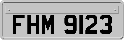 FHM9123