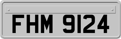 FHM9124