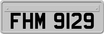 FHM9129