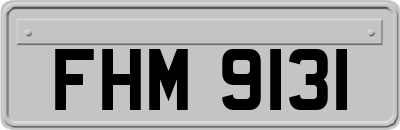 FHM9131