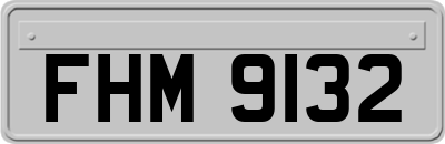 FHM9132
