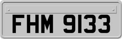 FHM9133