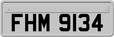 FHM9134