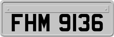 FHM9136