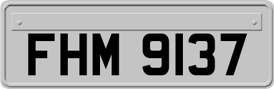 FHM9137