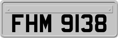 FHM9138