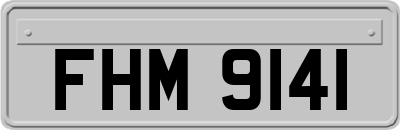 FHM9141