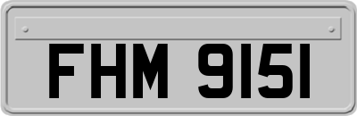 FHM9151
