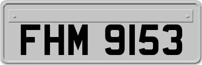 FHM9153