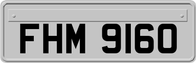 FHM9160
