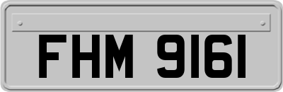 FHM9161