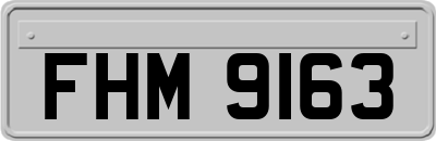 FHM9163