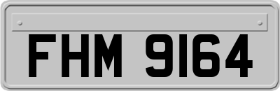FHM9164