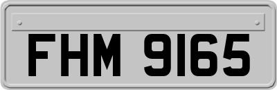FHM9165
