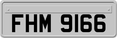FHM9166