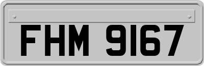 FHM9167
