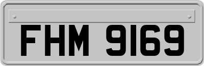 FHM9169