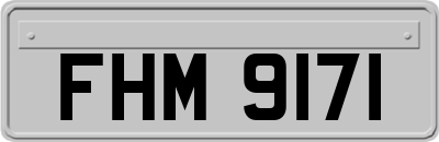 FHM9171