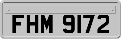 FHM9172