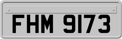 FHM9173