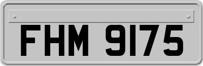 FHM9175