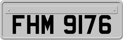 FHM9176